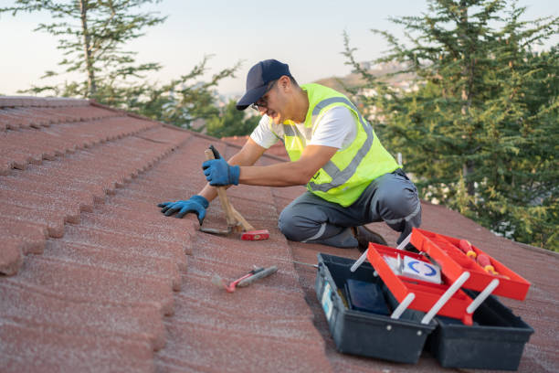 Best Roof Ventilation Installation  in Lexington, OH